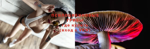 герыч Козельск