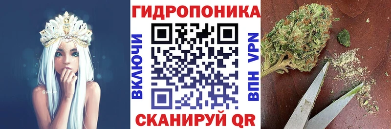 Шишки марихуана OG Kush  Купить где  Кизилюрт 